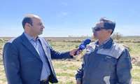 عباس‌آباد، قلب تپنده دام‌های برتر؛ جهشی که آینده دامداران را روشن می‌کند
