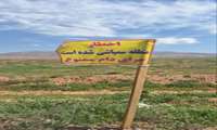 هشدار به دامداران و عدم چرا در مناطق سمپاشی شده
