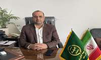 خراسان رضوی در خط مقدم حفظ امنیت غذایی؛مبارزه گسترده با آفت سن مادر در بیش از ۹۹ هزار هکتار از مزارع گندم و جو