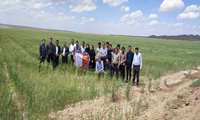  بازدید میدانی معاون رئیس سازمان و مدیر جهاد کشاورزی شهرستان سبزوار از روستاهای بخش روداب 
