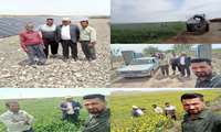 بازدید میدانی کارشناسان جهاد کشاورزی جغتای از مزرعه اختصاصی در روستای محمدآباد شهرستان جغتای