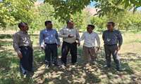 بازدید میدانی از باغ گردوی پیشرو در روستای کریز