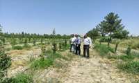 مدیر جهاد کشاورزی شهرستان گلبهار از مجموعه باغ سبز فتح آباد بازدید کرد. 