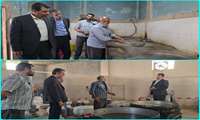 توسعه فرآوری انگور در قوژد گناباد