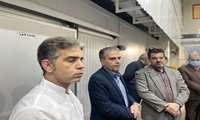 افتتاح کارخانه فناوری گوشت و پروتئین در مشهد مقدس؛ تأکید بر حمایت وزارت جهاد کشاورزی از سرمایه‌گذاری در بخش کشاورزی