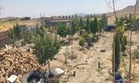حافظان امنیت غذایی در میدان؛ شناسایی و توقف ساخت‌وسازهای غیرمجاز در اراضی کشاورزی روستای ده پایین تربت حیدریه