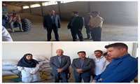 بازرسی مشترک مدیریت جهاد کشاورزی و دستگاه قضا از مراکز خرید گندم چناران؛ ۲۸۵۰۰ تن گندم از کشاورزان خریداری شد