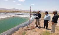 بازدید میدانی کارشناسان جهاد کشاورزی از استخرهای ذخیره آب با هدف پیشگیری از حوادث و ارتقای ایمنی
