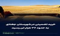 خرید تضمینی گندم در شهرستان جغتای به مرز ۳۶ هزار تن رسید
