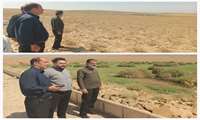 نظارت کارشناسان جهاد کشاورزی چناران بر روند اجرای طرح کشت و صنعت «کشمان» در منطقه شترپا