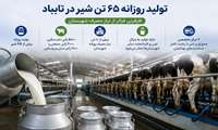 ظرفیت بالای دامپروری تایباد؛ تولید روزانه بیش از ۶۵ تن شیر