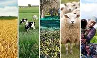 تشکیل اتحادیه های صنفی زراعت و دام در شهرستان داورزن کلید خورد
