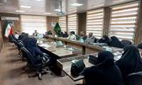 برگزاری جلسه توانمندسازی زنان عشایری و روستایی شهرستان چناران در قالب طرح تبار
