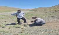 پایش میدانی کانون‌های آفت ملخ در روستای بندقراء و تشدید عملیات مبارزه با آفات در شهرستان کوهسرخ