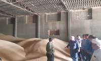 بازدید مسئولان ستادی سازمان از مراکز خرید گندم خواف/ ۸۰ درصد مزارع برداشت شد
