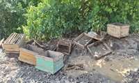 روی ناخوش سیلاب به کشاورزان روستاهای دولت آباد واسجیل شهرستان گلبهار