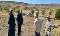 بازدید میدانی از کانون‌های ملخ  روستاهای کمرستان و ماوا شهرستان گلبهار برای تقویت پایش و کنترل مؤثر در مراتع
