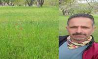 بازدید میدانی از مزارع دیم شهرستان جغتای در منطقه زرقان