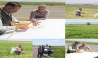 بازدید میدانی کارشناسان جهاد کشاورزی جغتای از مزارع گندم و جو در منطقه ابویسان شهرستان جغتای