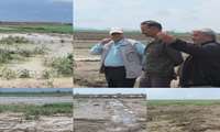 خسارت بیش از ۱۸۰۰ میلیارد تومانی تگرگ و سیل به بخش کشاورزی شهرستان جغتای