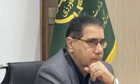 خراسان رضوی؛ قلب تپنده طلای سرخ ایران با ۹۹ هزار هکتار زیر کشت زعفران