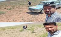 پایش کانون ملخ در اراضی حد شمالی روستاهای آزادوار، خلیل‌آباد، حسین‌آباد و فیض‌آباد (مرز خراسان رضوی ،شمالی) شهرستان جغتای