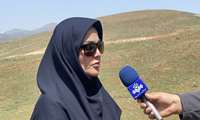 کانون‌یابی و مبارزه با ملخ در خراسان رضوی برای صیانت از امنیت غذایی کشور