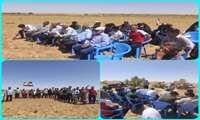 میزبانی نوده پشنگ گناباد از رویداد آموزشی روز مزرعه؛ گامی نو برای ارتقای کیفی تولید زیره سبز