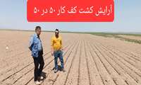 بازدید از آرایش کشت های مختلف چغندرقند
