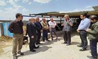 تجلیل از دامداران وتولید کنندگان قهرمانان پنهان سفره های مردم در شهرستان زاوه 