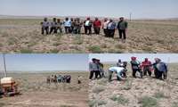 بازدید میدانی و کارگاه آموزشی مدیریت آفات محصول نخودفرنگی در شهرستان جغتای