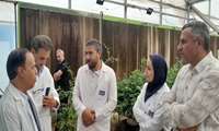 بازدید مسئولان کشاورزی از کاندیداهای نمونه استانی در سبزوار