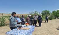 مراسم تجلیل از مسئول روابط عمومی جهاد کشاورزی شهرستان کوهسرخ