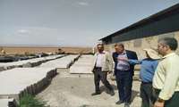 بررسی درخواست احداث شهرک غیردولتی صنایع کشاورزی در شهرستان گلبهار
