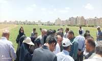 نخود دیم محصولی مناسب در کم آبی