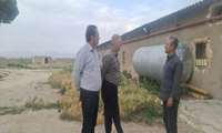 بازدید مدیر جهاد کشاورزی گلبهار از یک واحد مرغداری در روستای به‌آباد
