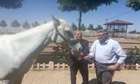  کاندیداتوری مجموعه پرورش اسب اسب طلایی نیشابور بعنوان نمونه کشوری