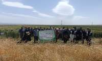 کارگاه آموزشی-ترویجی کنترل عوامل خسارتزای غلات در تربت جام برگزار شد.