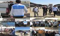 نظارت بر بازار دام جغتای در آستانه عید قربان؛ پایش قیمت‌ها و وضعیت بهداشتی در میدان دام