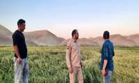 بازدید مدیر جهاد کشاورزی کلات از ظرفیت‌های کشاورزی روستای کرناوه شیرین