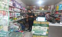 آغاز دومین مانور سراسری بازرسی و نظارت بر فروشگاه‌های سموم و مواد شیمیایی