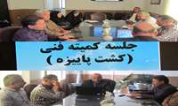 جلسه کمیته فنی تولیدات گیاهی جغتای با تمرکز بر کشت پاییزه و ساماندهی داده‌های بهره‌برداران