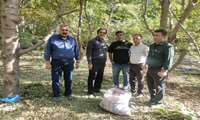 کیل‌گیری باغ گردوی شهرستان گلبهار برای انتخاب تولیدکننده برتر استان انجام شد.