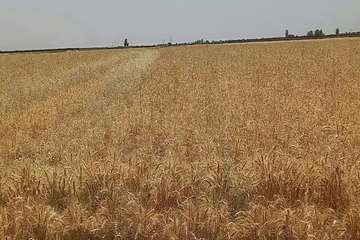 IMG_20260801_225209_785