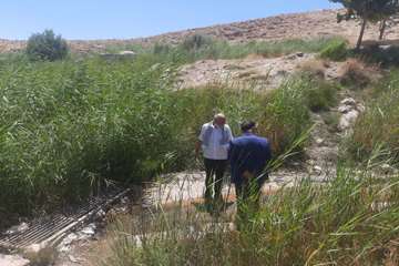 photo28815184798
