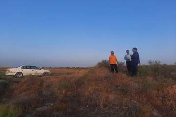photo28815195614
