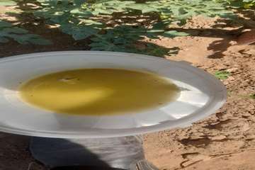 photo28899385163