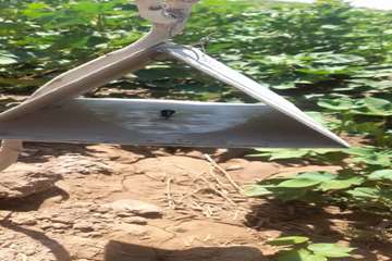 photo28899866238
