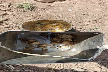 IMG_20260822_104105