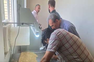 IMG_20260711_185520_734